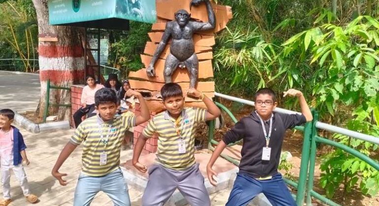 WhatsApp Image 2023-11-04 at 10.40.31